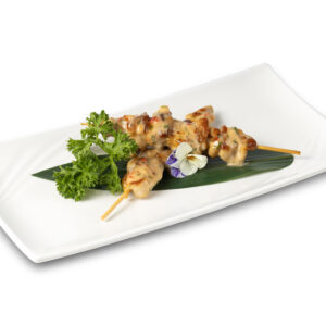 SPIEDINI DI POLLO 2PZ